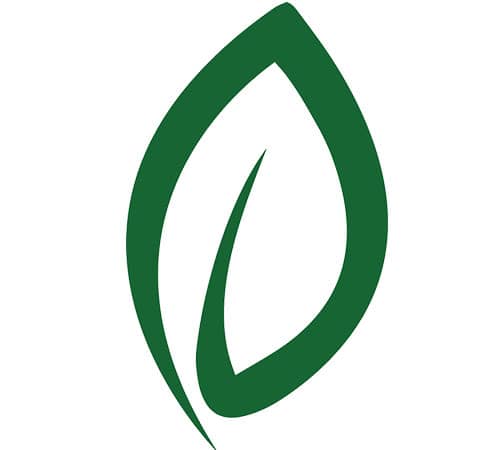 Leaf-Award-450x500
