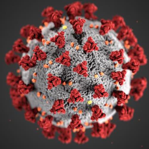 COVID Virus COVID Virus