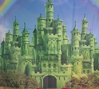 San Antonio Regional Hospital NICU Reunion 2025