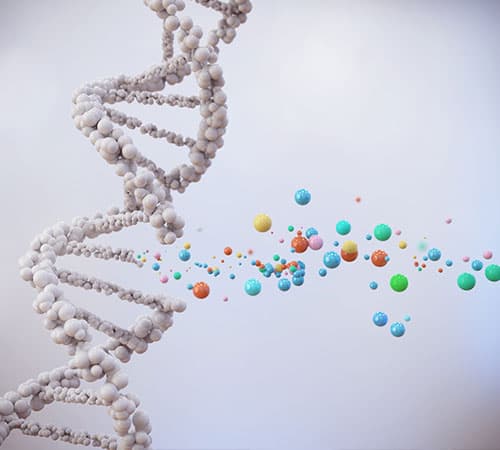 The Role of Genetics in Cancer Development and Treatment
