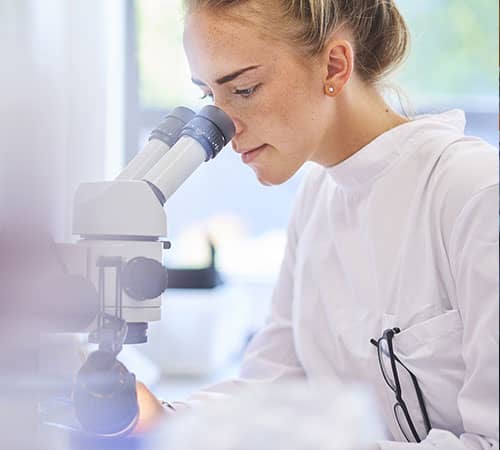 Lab